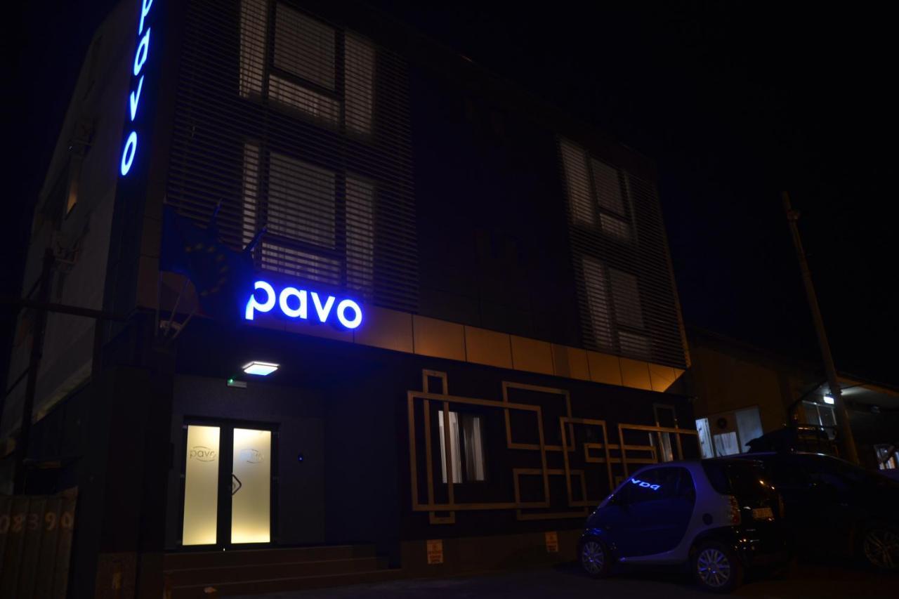Pensiune Pavo ピテシュティ エクステリア 写真
